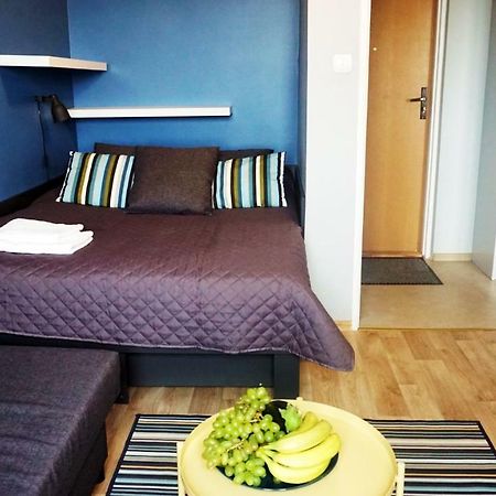 Dk Apartament Panorama Appartement Olsztyn  Buitenkant foto